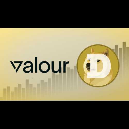 Valor 推出北歐首款狗狗幣 (DOGE) 交易所交易產品 (ETP)