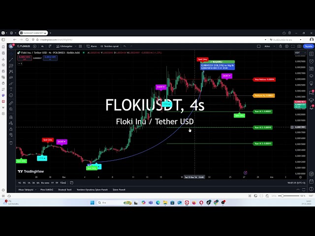 使用 Floki Coin 加密货币策略进行的分析 #floki #crypto