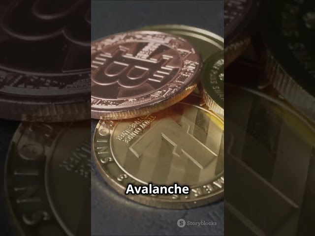 Avax Coin'in 타리히