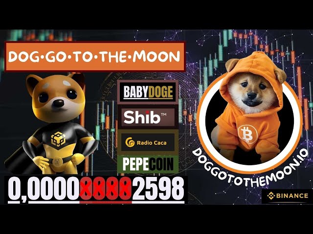 🔥狗去月球 // 柴犬 + 小狗狗狗硬幣 E MUITO MAIS🔥#doggotothemoon #babydogecoin #shib