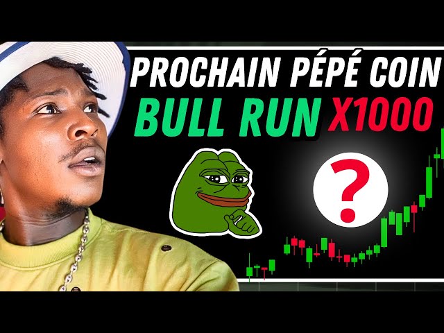 🔴這是加密貨幣牛市的下一個 PEPE 幣 [2024 - 2025]