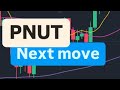 PNUT COIN PROCHAIN ​​DÉPLACEMENT | PRÉDICTION DU PRIX DU CRYPTO PNUT | OBJECTIF DE PRIX DE LA PIÈCE PNUT | PIÈCE DE PNUT