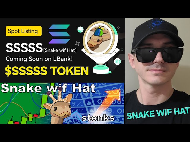 $SSSSS - SNAKE WIF HAT 代幣加密貨幣 如何購買 SSSSS MEMECOIN LBANK SOLANA SOL RAYDIUM JUPITER