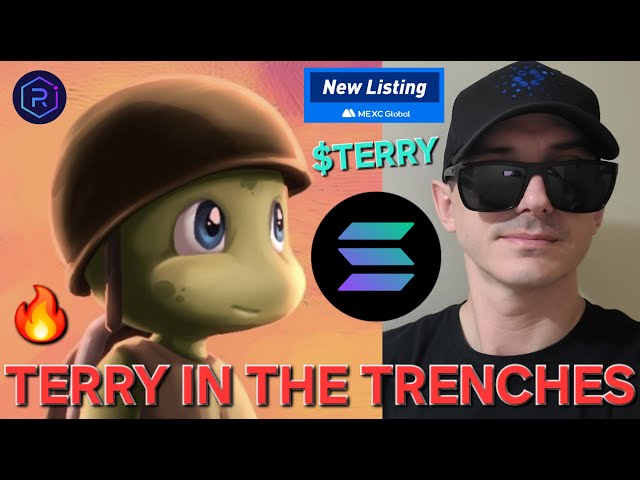 $TERRY - TERRY IN THE TRENCHES TOKEN CRYPTO COIN HOW TO BUY SOLANA MEMECOIN RAYDIUM MEXC GLOBAL SOL