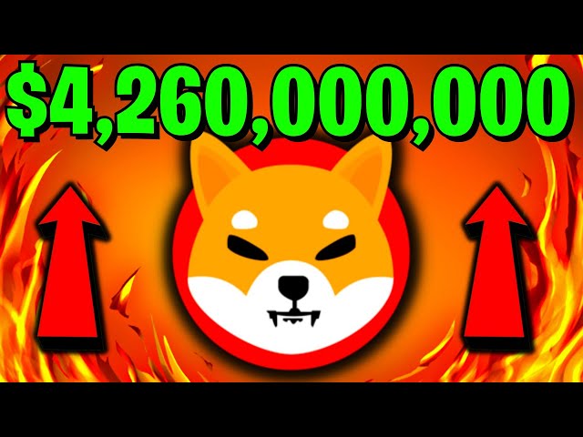 ZEITSENSIBEL! WENN SIE 1 MILLION SHIBA INU BESITZEN, MÜSSEN SIE DAS SEHEN! SHIBA-INU-HALTER, DAS IST VERRÜCKT!