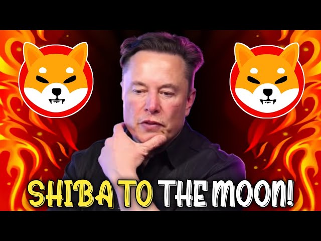 WOW! SHIBA INU COIN WILL BE WORTH WAY MORE THAN YOU THINK! - SHIB KAI