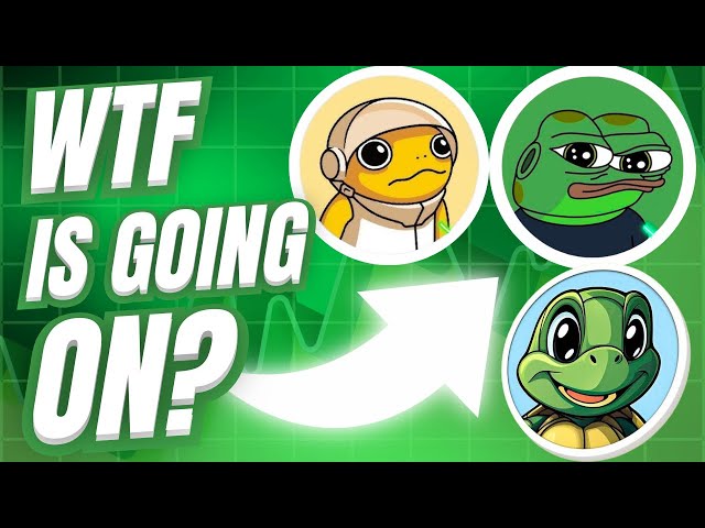 WTF IS GOING ON WITH THESE COINS? IS IT TIME TO BUY OR SELL? (MUST WATCH)