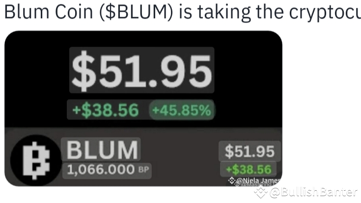 Blum Coin ($BLUM)：改變加密貨幣格局的革命性資產