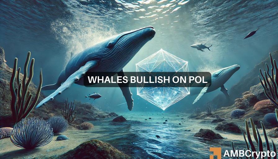 Polygon (POL) 鲸鱼积累了 5900 万枚代币，但 POL 是否被低估？