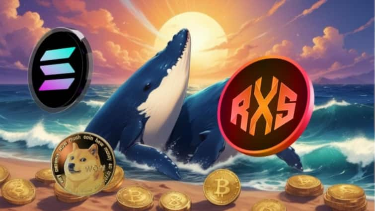 Whales Spotting Solana (SOL), Dogecoin (DOGE) et Rexas Finance (RXS) signalant la montée du marché haussier caché