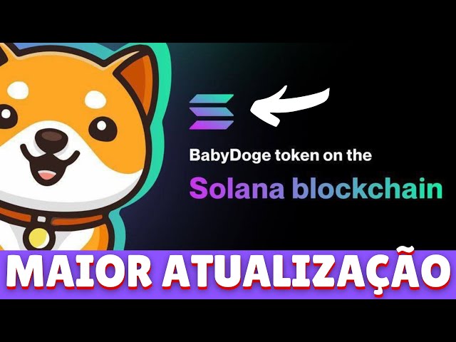 BABY DOGE COIN 史上最大のアップデートがソラナとともに登場