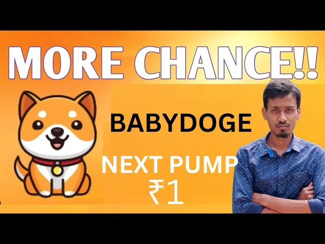 宝贝狗狗币今日新闻 |燃烧| BabyDoge 硬币价格 $1 |币安上线