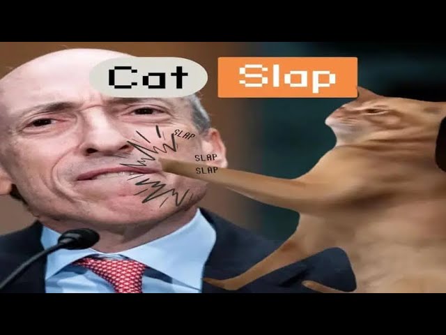 Xmas/Cat Slap Meme Coin 幣安上市，比特幣升至 100k？