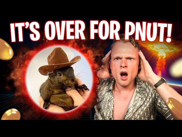 Est-ce un ADIEU ou un bon ACHAT pour $PNUT Crypto Meme Coin ?