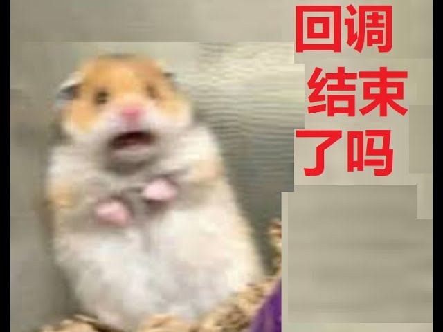 【ライブブロードキャスト11.27】 #btc #doge は崩壊していますか？