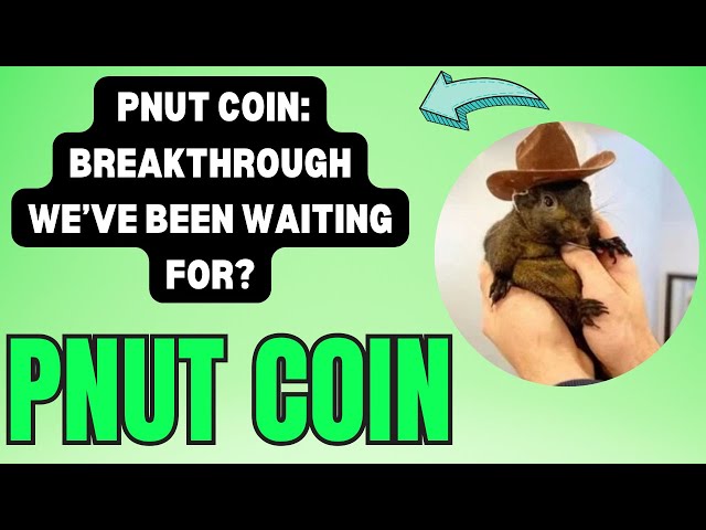 PNUT COIN 最新图表表明价格将出现大规模波动！ PNUT硬币技术分析！