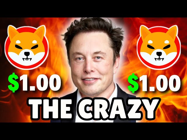 REVEALED! ELON MUSK SPOKE ABOUT THE CRAZY SITUATION OF SHIBA INU COIN NEWS TODAY!!