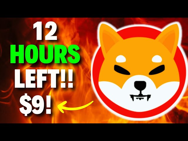 SHIB NEWS! REVEALED! Shiba Inu will EXPLODE to $9! - EXPLAINED SHIBA INU COIN NEWS TODAY