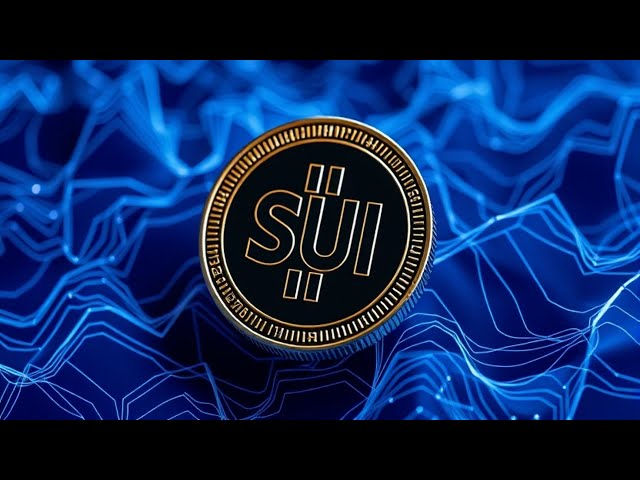 Sui Token의 2억 달러 잠금 해제: 알아야 할 사항! 2024년 11월 27일