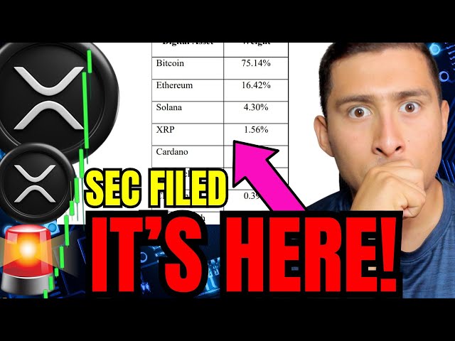 XRP RIPPLE MASSIVER Erfolg BESTÄTIGT Breaking UPDATE!