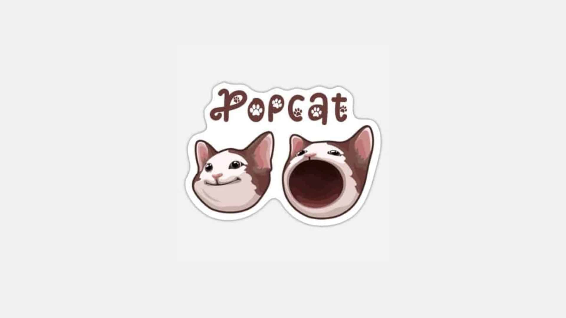 Popcat 가격은 강세 추세 반전을 향해 나아가고 있습니다.