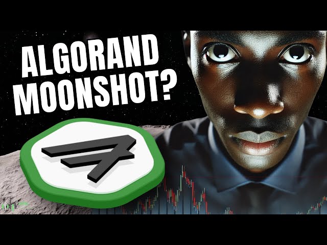 Algorand 至 0.30 美元還是回撤？ ALGO 幣價格預測