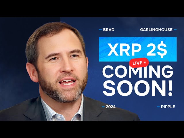 Brad Garlinghouse: RIPPLE BULL RUN BESTÄTIGT! XRP-PREISVORHERSAGE