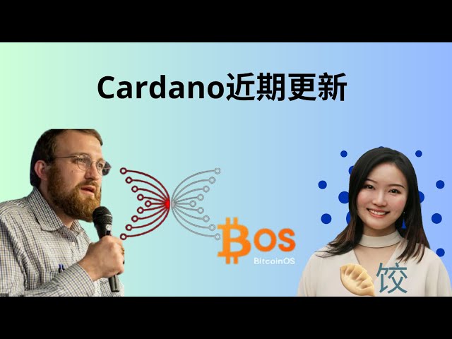 Cardano aktuelles Update #adacoin