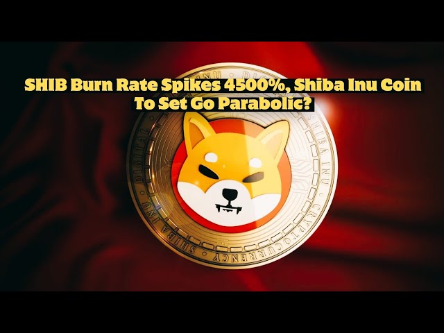 Le taux de combustion du SHIB augmente de 4 500 %, la pièce Shiba Inu va-t-elle devenir parabolique ? #shibinu