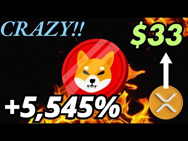 SHIBA INU 연소율 폭발 + XRP 고래 이동: 놓칠 수 없는 암호화폐 대결!