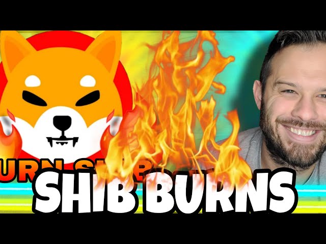 Shiba Inu Coin | SHIB Burns Are Rising Fast! Very Strong Sign!