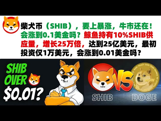 Shiba Inu Coin(SHIB)은 급등할 예정이며 강세장은 여전히 ​​존재합니다! 0.1달러까지 오를까? 고래는 25만 배 증가한 25억 달러의 SHIB 공급량을 10% 보유하고 있습니다. 초기 투자금은 10,000달러에 불과했습니다. shib 코인 | 시바코인 시장 분석!