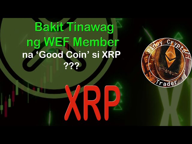 為什麼 WEF 成員稱 XRP 是「好幣」？