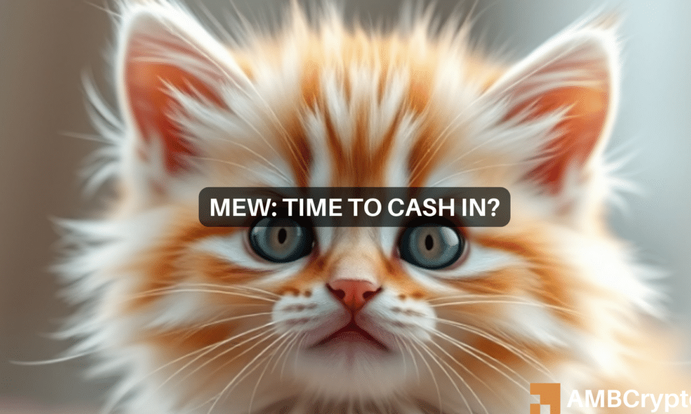 Cat In A Dog's World (MEW) Market Performance Shows Moderate Volatility After the Whale's Exit