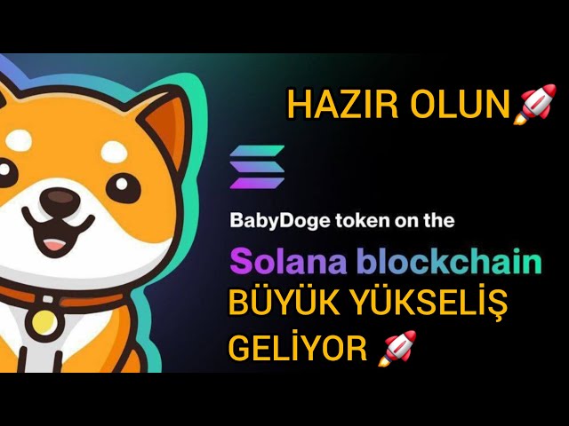 BABY DOGE COIN BREAKING NEWS! BABY DOGE OPENED TO THE SOLANA NETWORK! THE BURNINGS HAVE STARTED! BABY DOGE WILL ROCKET🚀