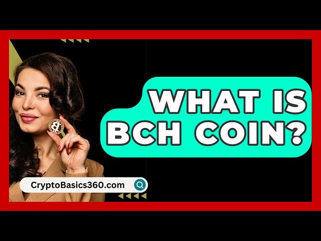 Bch 코인이란 무엇입니까? - CryptoBasics360.com