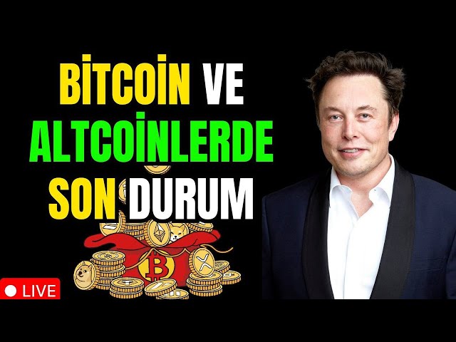 #BITCOIN $100,000.NEARFLYING.Altcoins.XRP-ARB-DOGE-PEPE-LUNA 硬幣分析的最新情況。