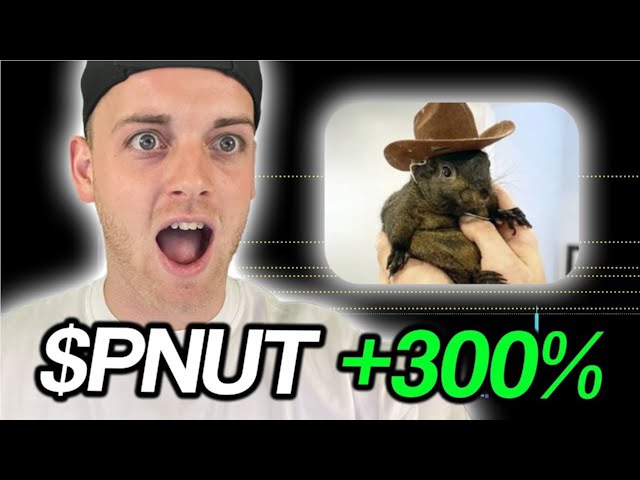 PNUT COIN 100$ SOON | PNUT COIN BIG NEWS IN HINDI