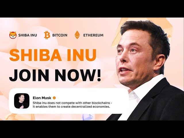 Shiba Inu: Elon Musk 및 SHIB 보유자는 SHIB당 $0.001를 예측 | 암호화폐 뉴스