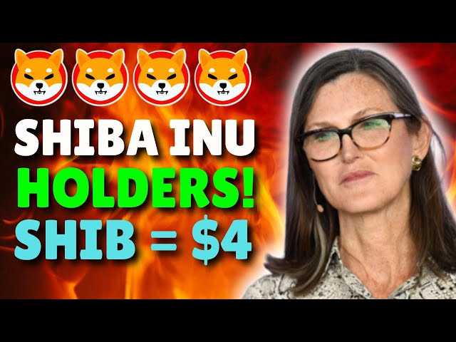 埃隆·马斯克 (Elon Musk) 和凯西·伍德 (Cathie Wood) 透露 SHIBA INU COIN 将如何很快达到 4 美元！