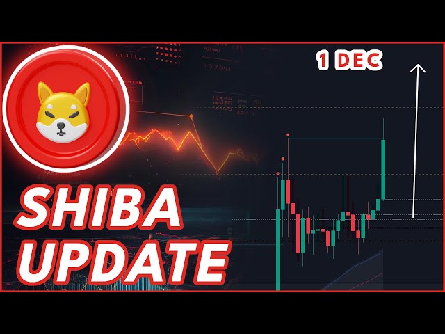 HUGE SHIB MOVE INCOMING!?🔥 | SHIBA INU COIN PRICE PREDICTION & NEWS 2024!