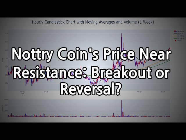 Nottry Coin 的价格接近阻力位：突破还是逆转？