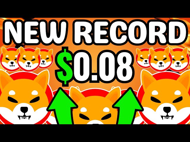 SHIBA INU: WHAAT?? SHYTOSHI KUSAMA IS EVEN MORE CRAZIER THAN I THOUGHT - SHIBA INU COIN NEWS  UPDATE