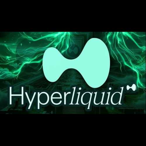 Hyperliquid: CEX と DEX として機能するハイブリッド取引所