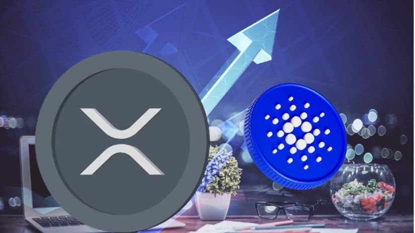 XYZVerse (XYZ): The New Meme Coin Heavyweight Reclaiming the Spot Among Top Cryptocurrencies