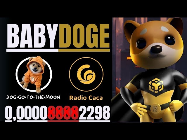 🔥BABY DOGE COIN // 犬は月へ行く + ラジオ CACA など#babydogecoin #doggotothemoon #raca