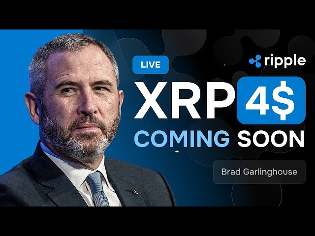 Brad Garlinghouse: RIPPLE BULL RUN CONFIRMED! XRP PRICE PREDICTION