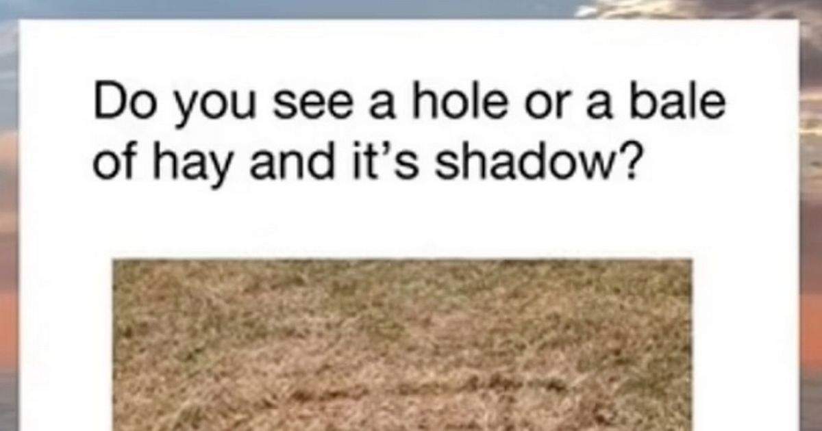 Do You See a Hole or Bale of Hay? This Baffling Optical Illusion Has Everyone Scratching Their Heads