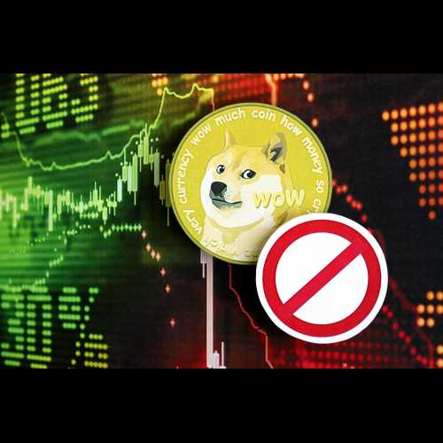 狗狗币（DOGE）黑客揭示过时软件网络风险