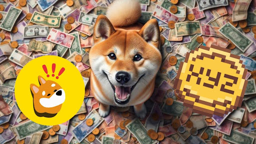 Dogecoin Millionaire enthüllt BONK und XYZVerse als die nächsten großen Aufsteiger im Jahr 2025!